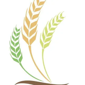 Logo La Buena Semilla